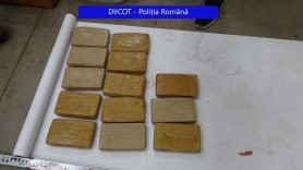 Jumătate de tonă de cocaină, în valoare de 25 de milioane de euro, descoperită în baxuri de banane, în România